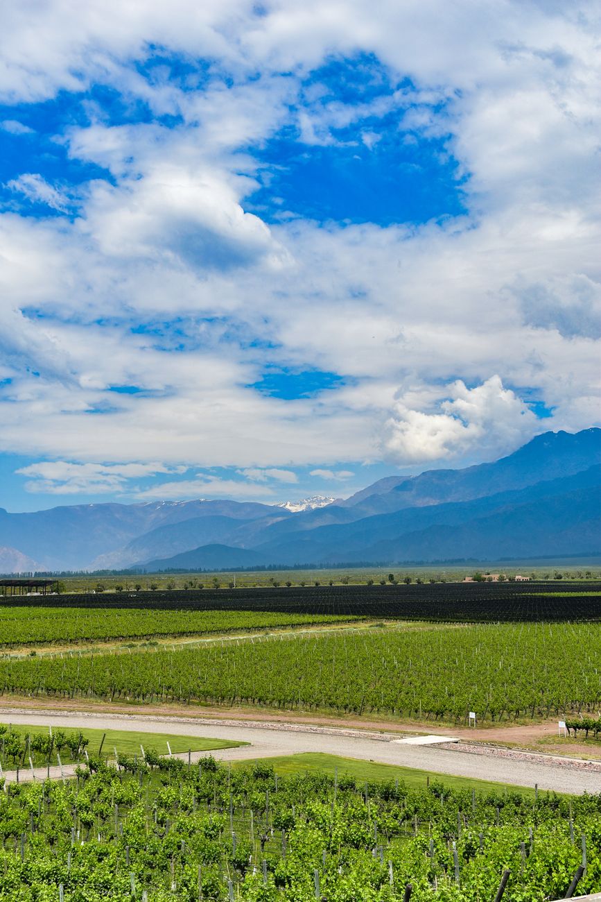 ¿Cómo estará el tiempo hoy en Mendoza? Pronóstico oficial