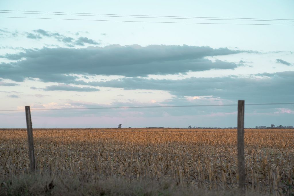 Récord histórico: la agroindustria argentina duplica exportaciones en nueve meses
